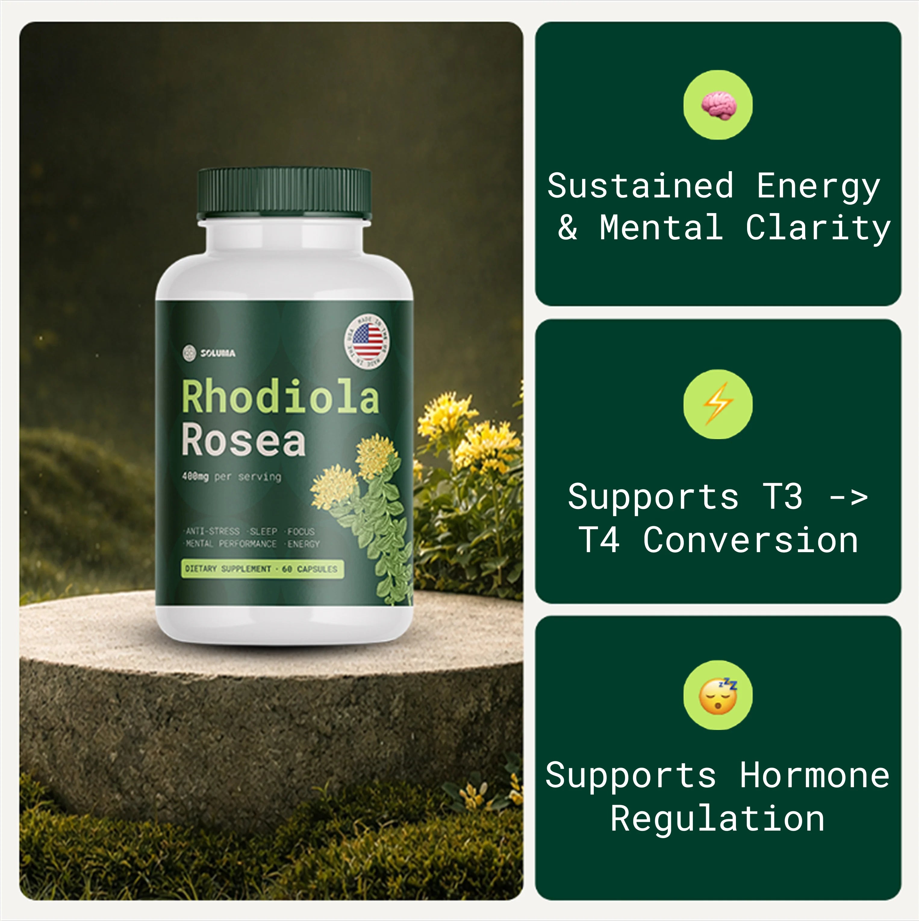 Rhodiola Rosea - Natural Adaptogen