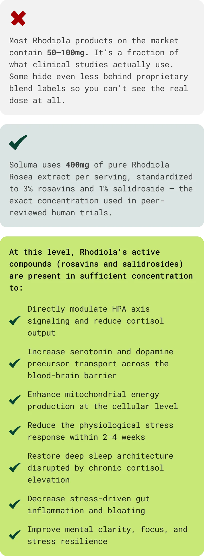 Why 400mg Rhodiola Rosea Dose Changes Everything